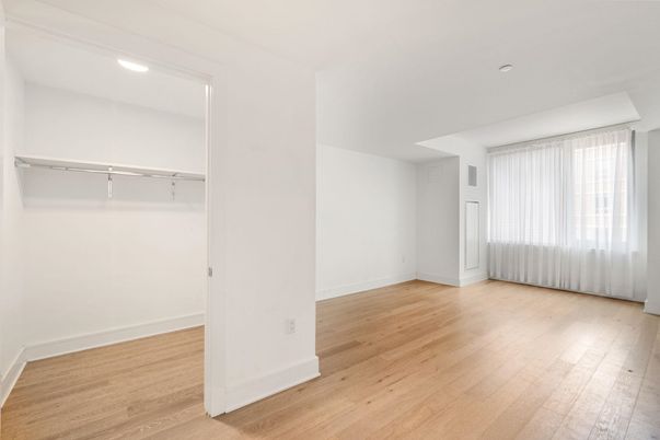 Interior, Recessed Lighting, Walk-in Closets, Wood Texture Flooring