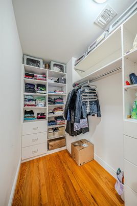 Interior, Walk-in Closets, Wood Texture Flooring