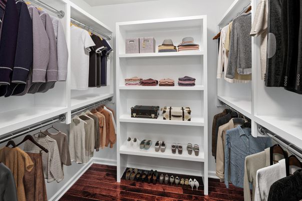 Interior, Walk-in Closets, Wood Texture Flooring
