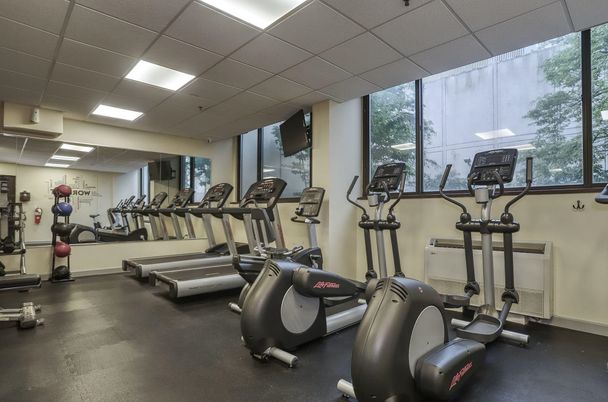Fitness Equipment, Gym, Interior, Recessed Lighting
