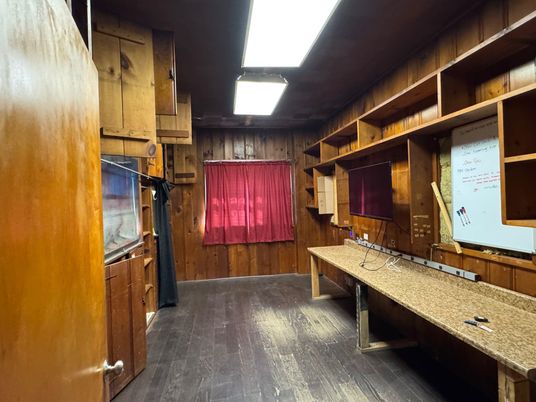 Interior, Wood Texture Flooring, Wooden Walls