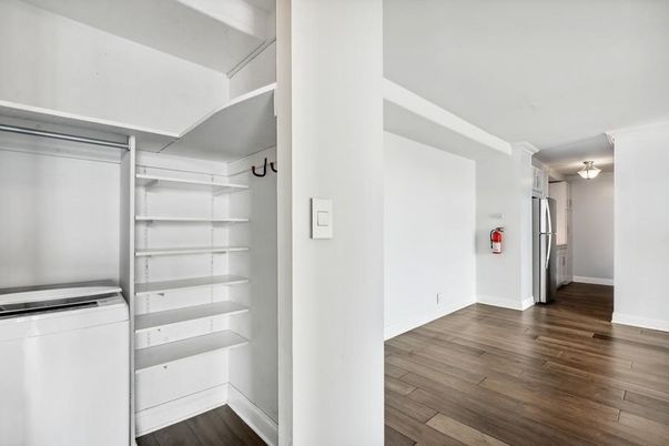 Interior, Walk-in Closets, Wood Texture Flooring