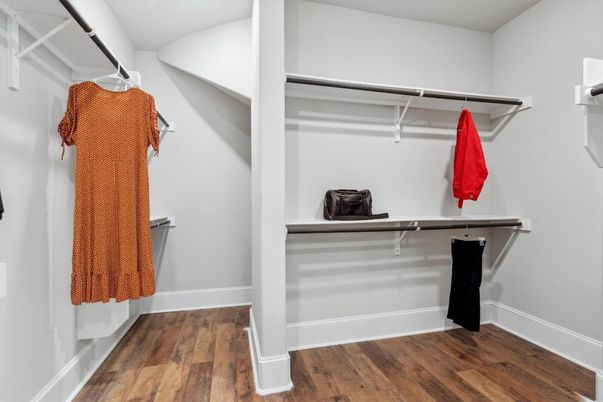 Interior, Walk-in Closets, Wood Texture Flooring