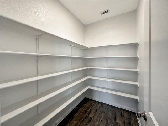 Interior, Walk-in Closets, Wood Texture Flooring