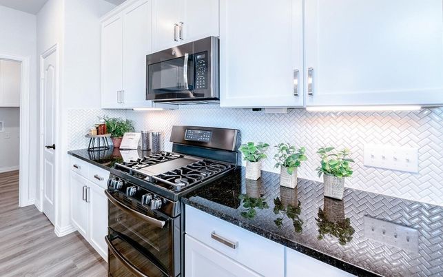 Interior, Kitchen, Stainless Steel Appliances, Wood Texture Flooring