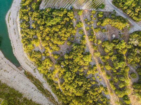 Exterior, Drone
