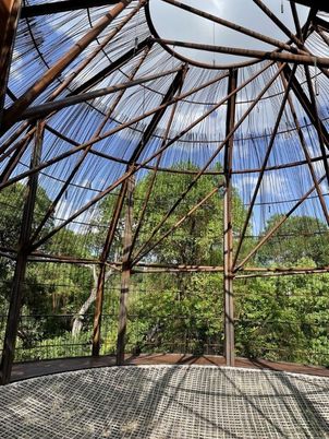 Glass Ceilings, Interior, Sun Room