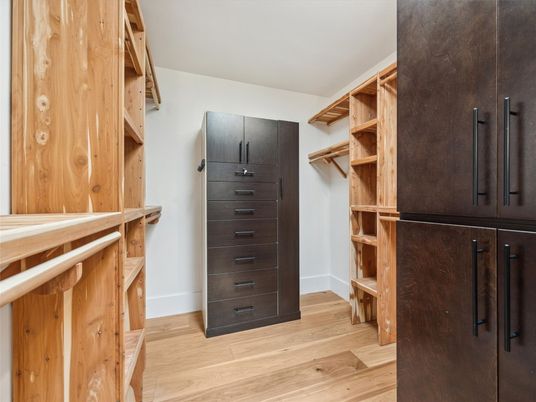 Interior, Walk-in Closets, Wood Texture Flooring