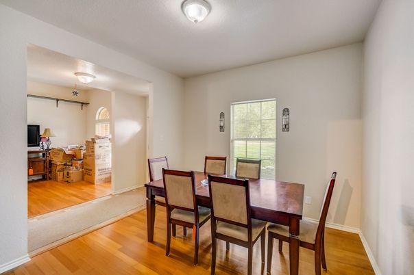 Dining room, Interior, Wood Texture Flooring