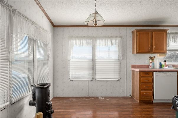 Interior, Kitchen, Pendant Lights, Wood Texture Flooring