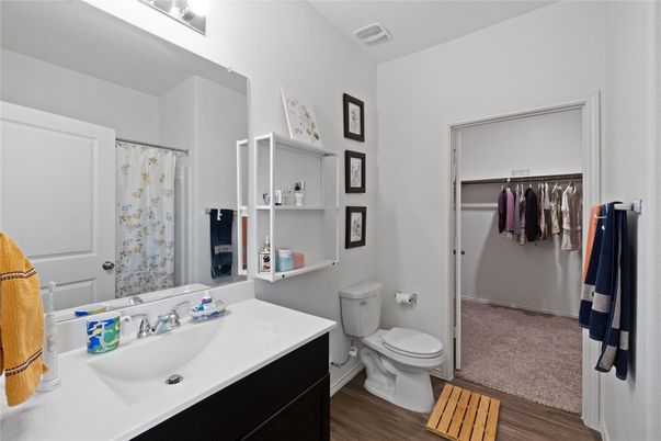 Bathroom, Interior, Wood Texture Flooring