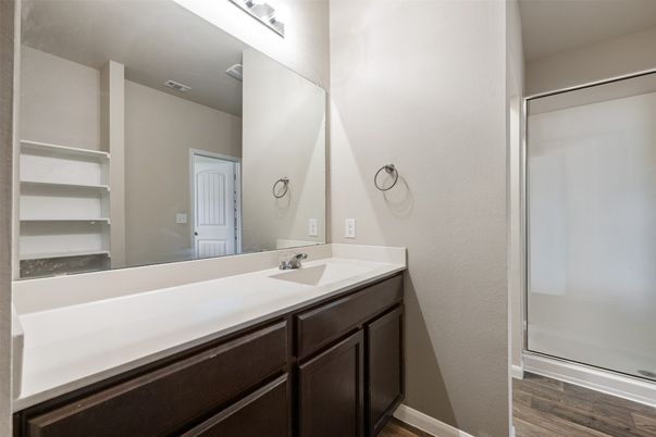 Bathroom, Dual Sink Vanities, Interior, Wood Texture Flooring