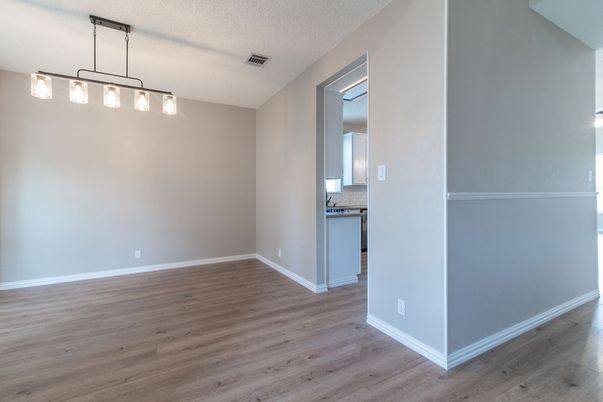 Empty room, Interior, Pendant Lights, Wood Texture Flooring