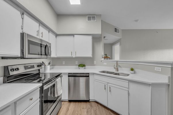 Interior, Kitchen, Stainless Steel Appliances, Wood Texture Flooring