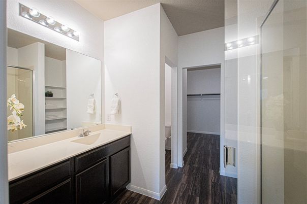 Bathroom, Glass Shower, Interior, Walk-in Closets, Wood Texture Flooring