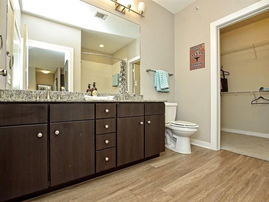 Bathroom, Dual Sink Vanities, Interior, Walk-in Closets, Wood Texture Flooring