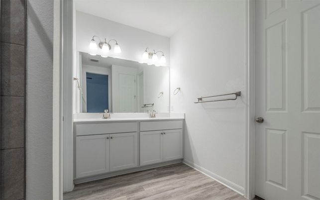 Bathroom, Dual Sink Vanities, Interior, Wood Texture Flooring