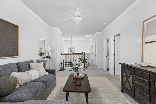 Interior, Living room, Pendant Lights