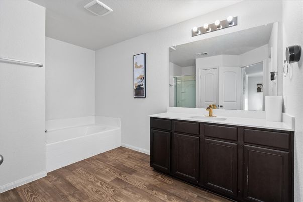 Bathroom, Dual Sink Vanities, Interior, Wood Texture Flooring