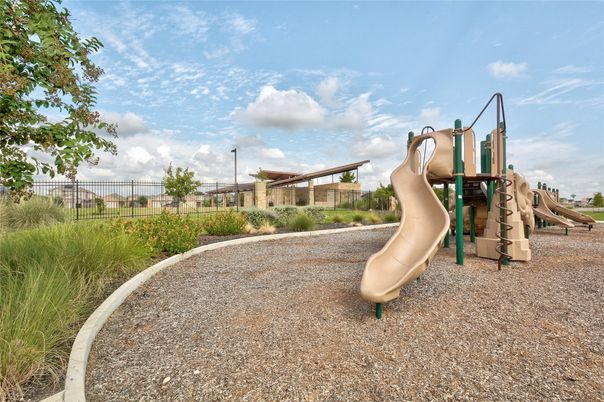 Backyard, Exterior, Playground