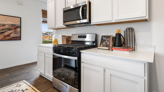 Interior, Kitchen, Stainless Steel Appliances, Wood Texture Flooring