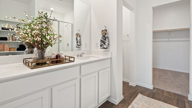 Bathroom, Interior, Walk-in Closets, Wood Texture Flooring