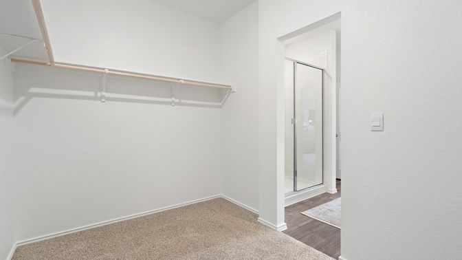 Interior, Walk-in Closets, Wood Texture Flooring