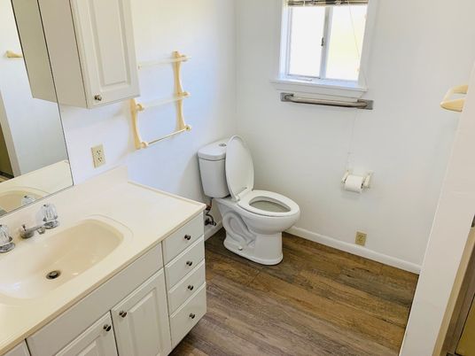Bathroom, Interior, Wood Texture Flooring