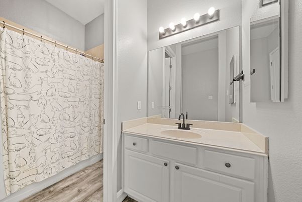 Bathroom, Interior, Wood Texture Flooring