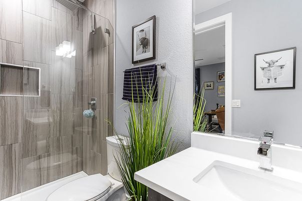 Bathroom, Glass Shower, Interior