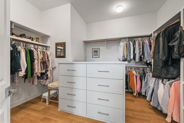 Interior, Walk-in Closets, Wood Texture Flooring