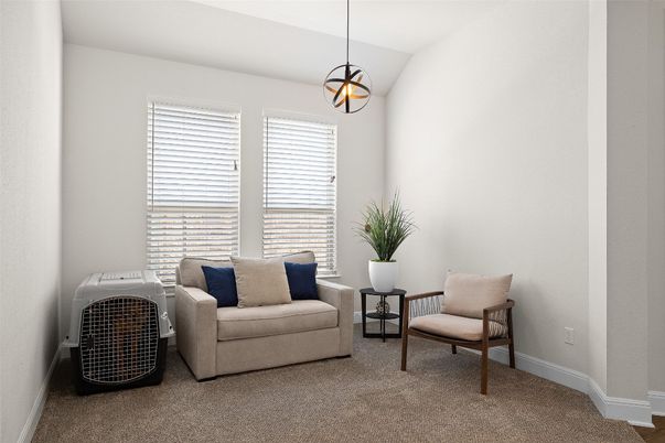 Interior, Living room, Pendant Lights