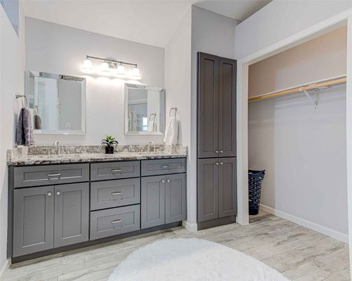Bathroom, Dual Sink Vanities, Interior, Walk-in Closets, Wood Texture Flooring