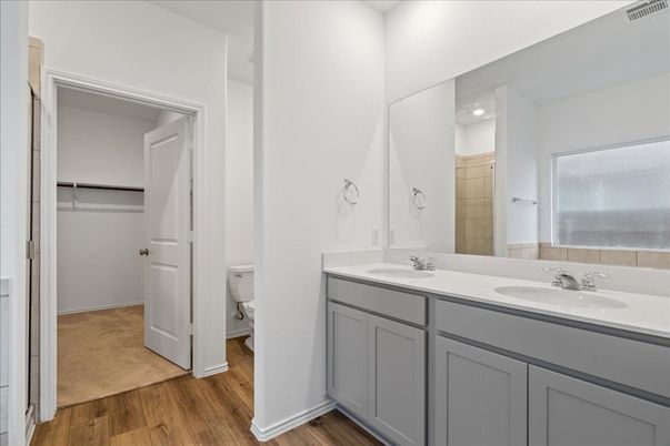 Bathroom, Dual Sink Vanities, Interior, Wood Texture Flooring