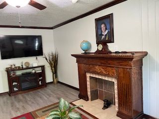Fireplace, Interior, Wood Texture Flooring