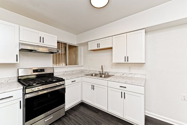 Interior, Kitchen, Stainless Steel Appliances, Wood Texture Flooring