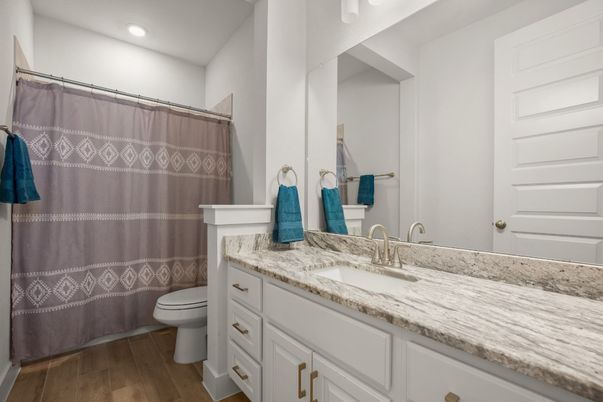Bathroom, Interior, Recessed Lighting, Wood Texture Flooring