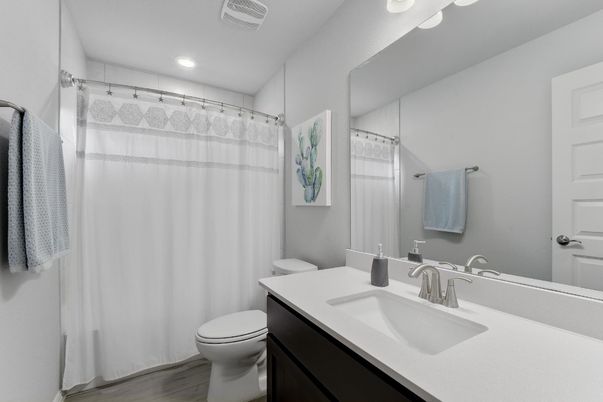 Bathroom, Interior, Recessed Lighting, Wood Texture Flooring