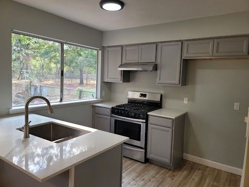 Interior, Kitchen, Stainless Steel Appliances, Wood Texture Flooring