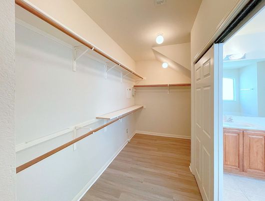 Interior, Walk-in Closets, Wood Texture Flooring