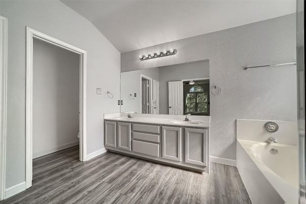 Bathroom, Dual Sink Vanities, Interior, Wood Texture Flooring