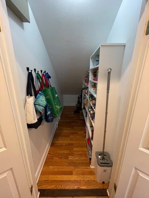 Interior, Walk-in Closets, Wood Texture Flooring