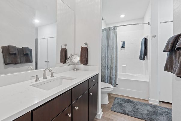 Bathroom, Interior, Recessed Lighting, Wood Texture Flooring
