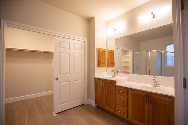 Bathroom, Dual Sink Vanities, Interior, Wood Texture Flooring