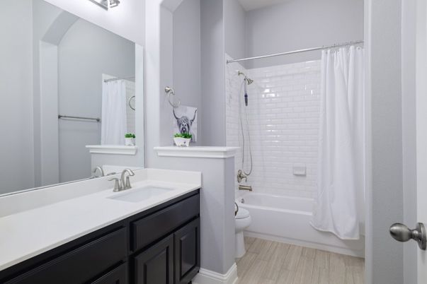 Bathroom, Interior, Wood Texture Flooring