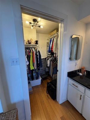Interior, Walk-in Closets, Wood Texture Flooring
