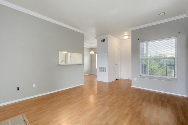 Empty room, Interior, Pendant Lights, Wood Texture Flooring