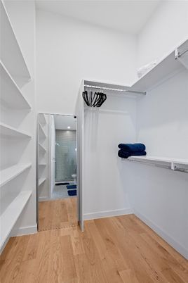 Interior, Recessed Lighting, Walk-in Closets, Wood Texture Flooring