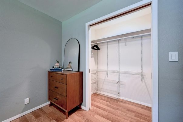 Interior, Walk-in Closets, Wood Texture Flooring