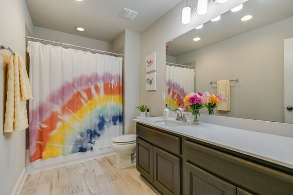 Bathroom, Interior, Recessed Lighting, Wood Texture Flooring